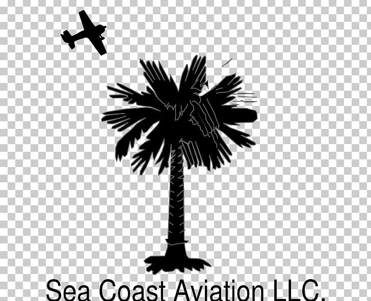 Sabal Palm Arecaceae Flag Of South Carolina Tree PNG, Clipart, Arecaceae, Arecales, Black And White, Borassus Flabellifer, Branch Free PNG Download