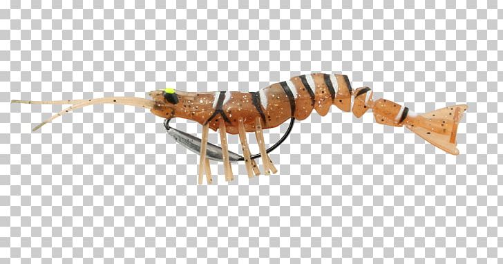 Savage Gear 3D Line Savage Gear 3D Real Trout Swimbait Fishing Baits & Lures Fishery PNG, Clipart, Animal Source Foods, Decapoda, Fishery, Fishing, Fishing Baits Lures Free PNG Download