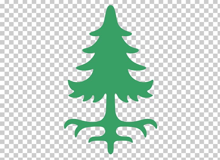 Spruce Western White Pine Eastern White Pine Fir Tree PNG, Clipart ...