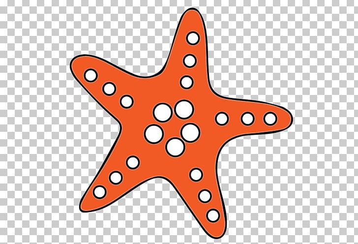 Starfish Video Sea PNG, Clipart, Area, Blue Tang, Echinoderm, Finding Nemo, Fish Free PNG Download