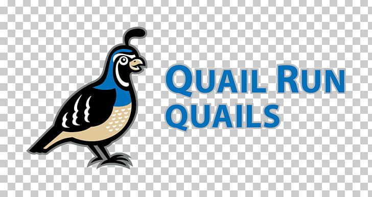 Quail Run Behavioral Health West Quail Avenue Bird PNG, Clipart,  Free PNG Download