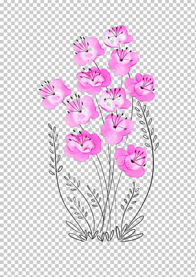 Flower Plant Pink Cut Flowers Moth Orchid PNG, Clipart, Cut Flowers, Dendrobium, Dianthus, Flower, Moth Orchid Free PNG Download