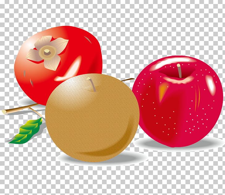 Apple Digital Video Drawing Illustration PNG, Clipart, Apple, Apple Fruit, Apple Logo, Apples, Apple Tree Free PNG Download