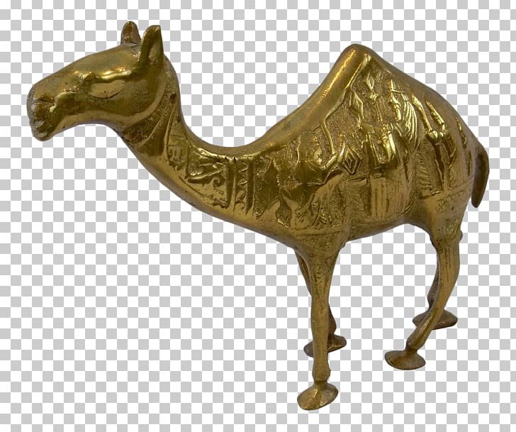 Bronze Sculpture Camel Statue PNG, Clipart, 01504, Animals, Brass, Bronze, Bronze Sculpture Free PNG Download