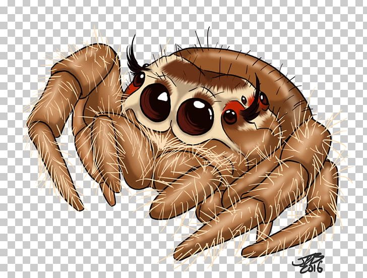 Jumping Spider Drawing Tattoo PNG, Clipart, Animal, Art, Arthropod, Can Stock Photo, Claw Free PNG Download