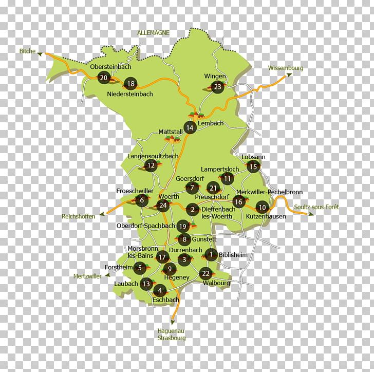 Tree Merkwiller-Pechelbronn Map Tuberculosis PNG, Clipart, Area, Map, Nature, Organism, Plant Free PNG Download