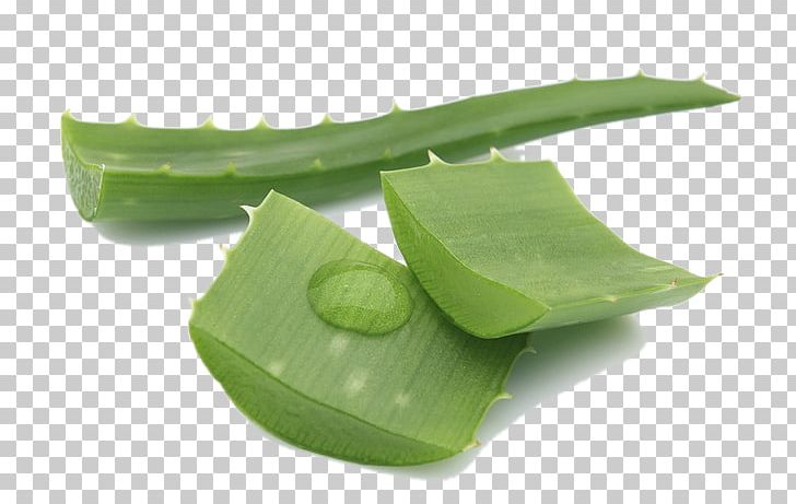 Aloe Vera Gel Skin Care Extract PNG, Clipart, Abrasion, Acne, Aloe, Aloe Vera, Background Green Free PNG Download
