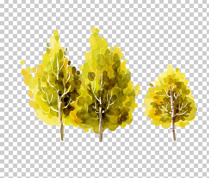 Beijing Live Television PNG, Clipart, Adobe Illustrator, Autumn, Beijing, Branch, Christmas Tree Free PNG Download