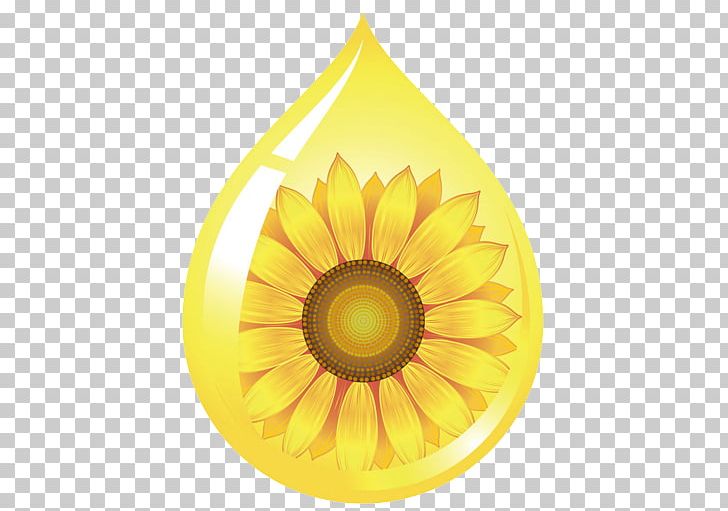 Common Sunflower Sunflower Oil Sunflower Seed PNG, Clipart, Creative Ads, Creative Artwork, Creative Background, Creative Graphics, Creative Logo Design Free PNG Download