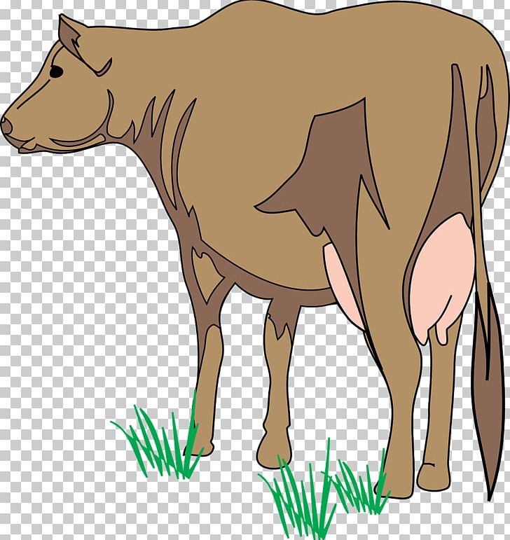 Cattle PNG, Clipart, Carnivoran, Cartoon, Cattle, Cattle Like Mammal, Clarabelle Cow Free PNG Download