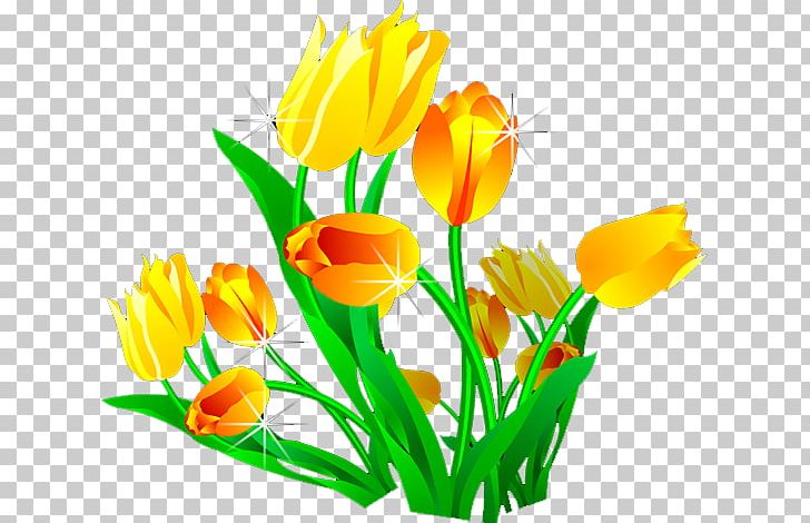 Designer Tulip PNG, Clipart, Adobe Animate, Calla Lily, Cut Flowers, Designer, Download Free PNG Download