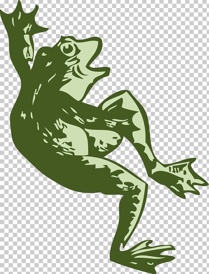 Frog PNG, Clipart, Amphibian, Animals, Computer Icons, Download, Fauna Free PNG Download