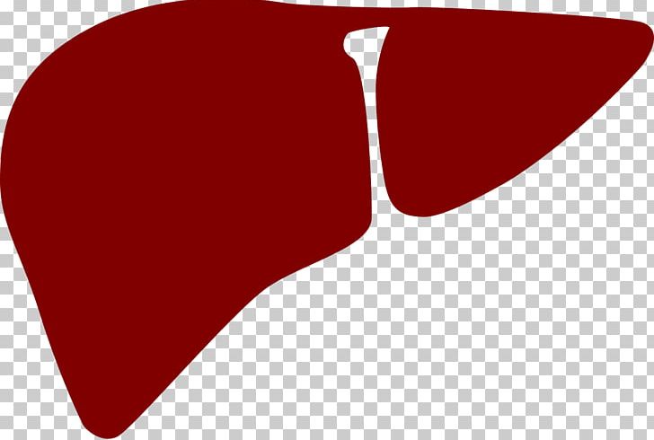 Liver PNG, Clipart, Angle, Clip Art, Computer Icons, Computer Wallpaper, Description Free PNG Download