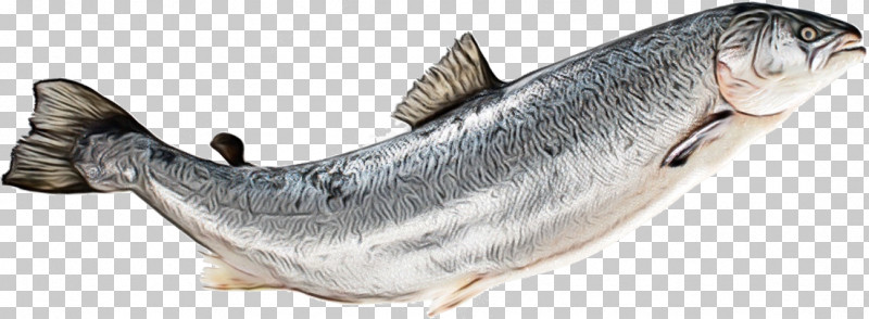 Sardine Oily Fish Capelin Fish Animal Figurine PNG, Clipart, Animal Figurine, Biology, Capelin, Fish, Oily Fish Free PNG Download