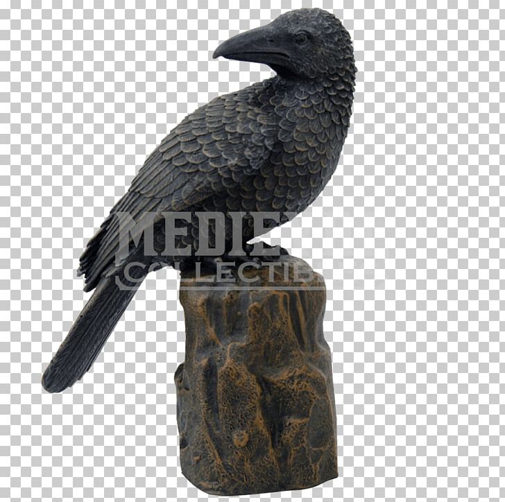 American Crow Bird New Caledonian Crow Bronze Sculpture Raven PNG, Clipart, American Crow, Animals, Beak, Bird, Bronze Sculpture Free PNG Download