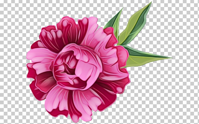 Floral Design PNG, Clipart, Artificial Flower, Biology, Cut Flowers, Dahlia, Floral Design Free PNG Download
