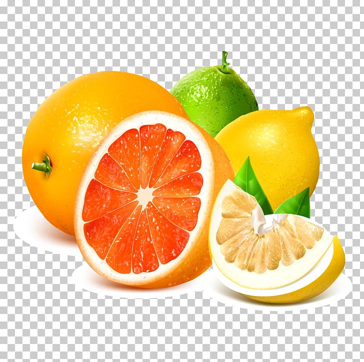 Lemon Grapefruit Illustration PNG, Clipart, Citrus, Food, Fruit, Fruit Nut, Grapefruit Vector Free PNG Download