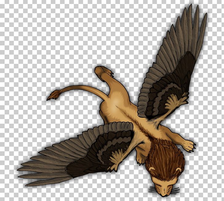 Manticore Monster Roll20 Hawk Chaos Beast PNG, Clipart, Accipitriformes, Art, Beak, Bird, Bird Of Prey Free PNG Download