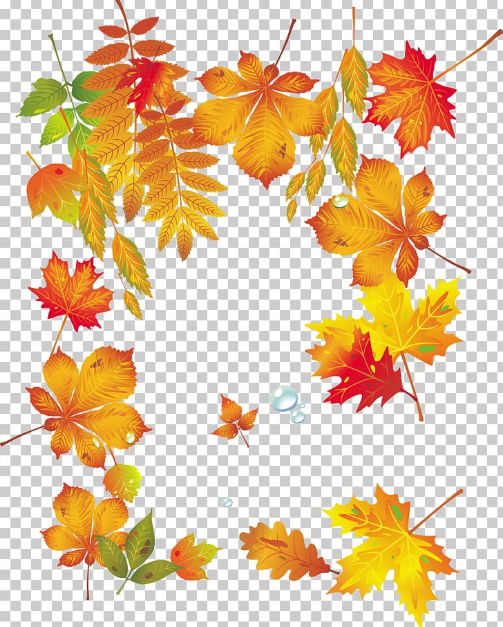 Maple Leaf Autumn PNG, Clipart, Autumn Leaves, Autumn Tree, Autumn Vector, Branch, Deciduous Free PNG Download