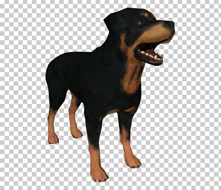 Rottweiler Puppy Dog Breed Snout PNG, Clipart, Animals, Breed, Carnivoran, Dog, Dog Breed Free PNG Download