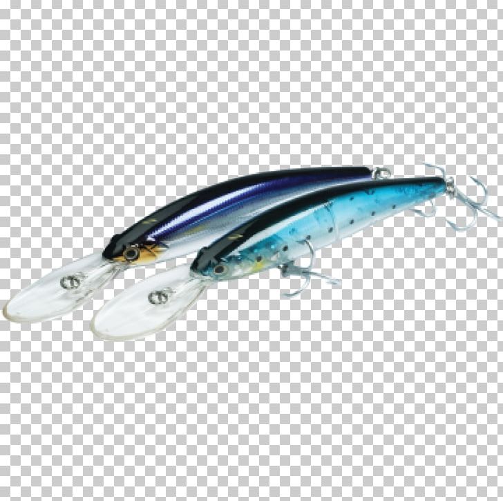 Spoon Lure Fish PNG, Clipart, Ac Power Plugs And Sockets, Angler, Animals, Bait, Fish Free PNG Download