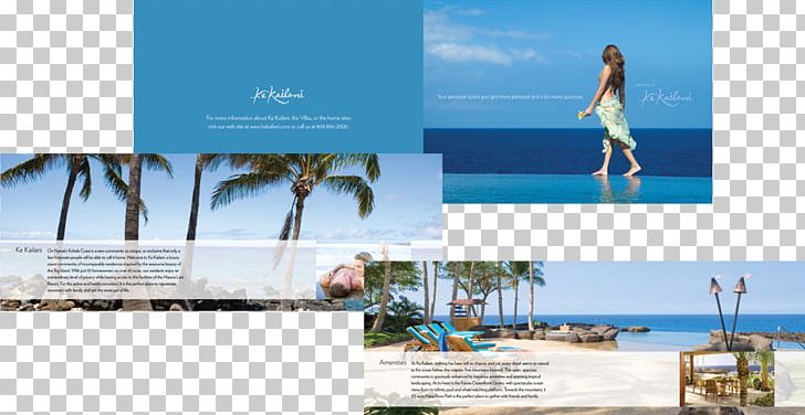 Team Vision Marketing Agency Advertising Agency Brand PNG, Clipart, Advertising, Advertising Agency, Brand, Brochure, Hawaii Free PNG Download