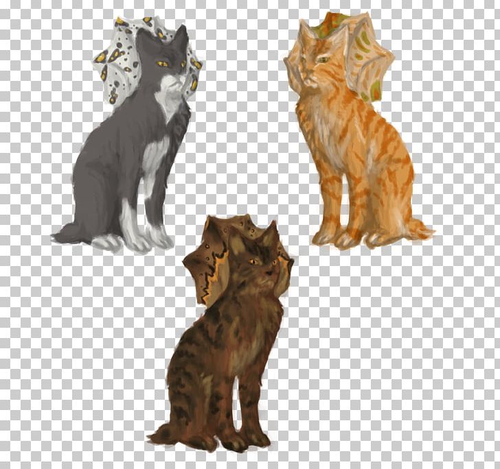 Whiskers Kitten Tabby Cat Wildcat PNG, Clipart, Animals, Carnivoran, Cat, Cat Like Mammal, Fauna Free PNG Download