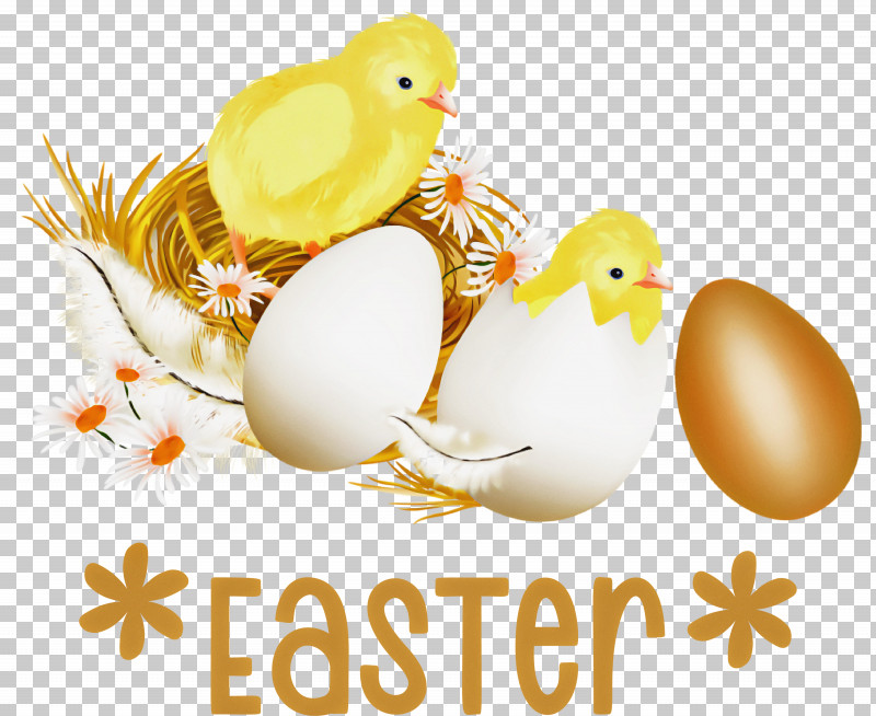 Easter Chicken Ducklings Easter Day Happy Easter PNG, Clipart, Cartoon, Chicken, Easter Day, Happy Easter, Royaltyfree Free PNG Download