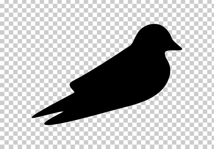 Barn Swallow Bird Beak PNG, Clipart, Animal, Animals, Barn Swallow, Beak, Bird Free PNG Download