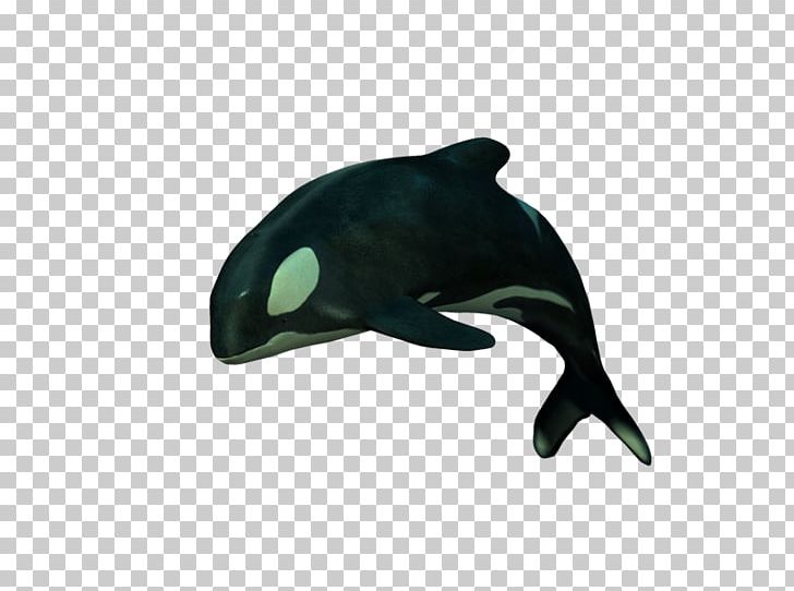 PhotoScape Adobe Photoshop GIMP Oceanic Dolphin PNG, Clipart, Animal, Black, Black M, Blog, Dolphin Free PNG Download