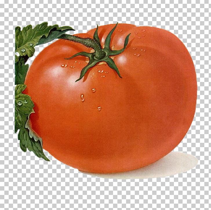 Cherry Tomato Crisp Heirloom Tomato Fruit PNG, Clipart, Bush Tomato, Cherry Tomato, Computer Icons, Crisp, Diet Food Free PNG Download