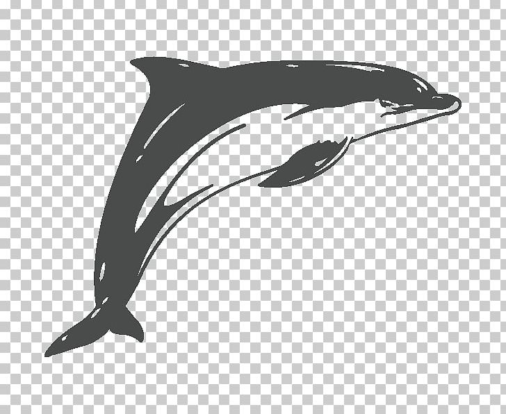 Common Bottlenose Dolphin Car Rough-toothed Dolphin Short-beaked Common Dolphin Sticker PNG, Clipart, Beak, Black, Black And White, Bumper Sticker, Car Free PNG Download