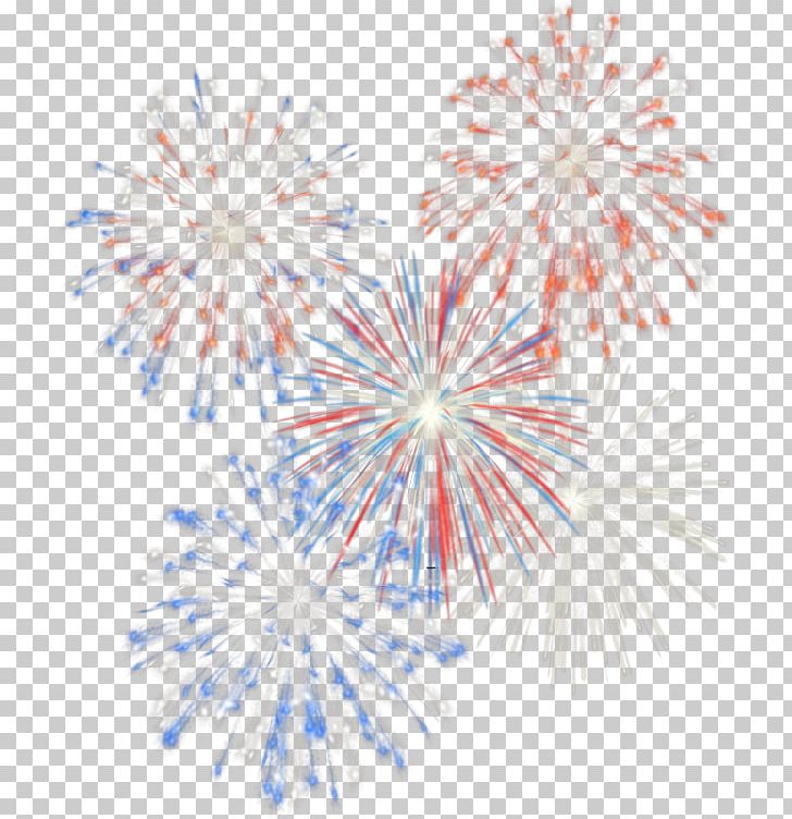 Independence Day Fireworks PNG, Clipart, Animation, Clip Art, Desktop Wallpaper, Disneys Celebrate America, Event Free PNG Download