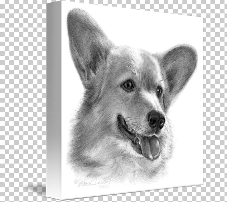 Puppy Pembroke Welsh Corgi Drawing Pembrokeshire Companion Dog PNG, Clipart, Carnivoran, Companion Dog, Dog, Dog Breed, Dog Breed Group Free PNG Download