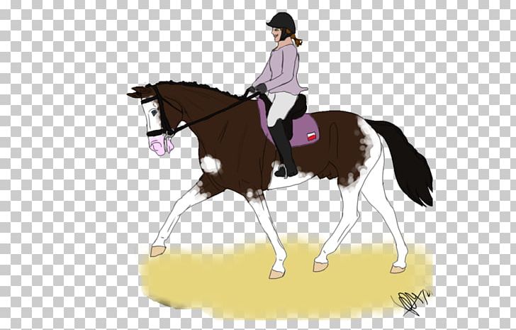 Stallion Horse Hunt Seat Bridle Pony PNG, Clipart, Bit, Bridle, Dressage, English Riding, Equestrian Free PNG Download