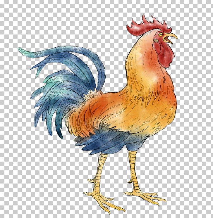 Chicken Rooster Wu Xing Fire Chinese New Year PNG, Clipart, Animals, Beak, Bird, Chicken, Chinese Calendar Free PNG Download