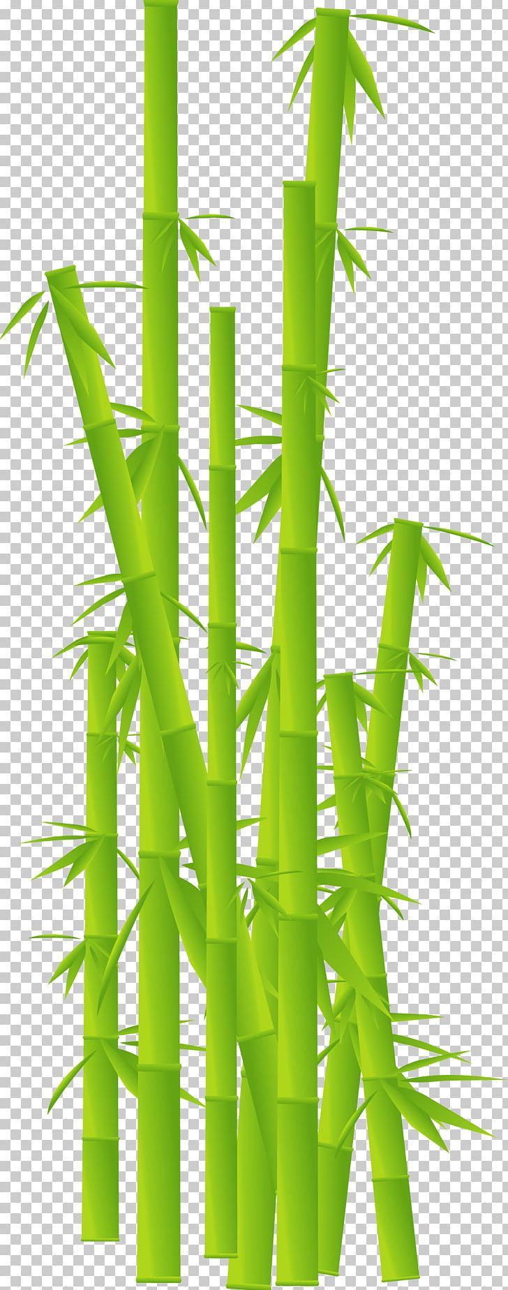 Tropical Woody Bamboos Plant Stem PNG, Clipart, Bamboo, Bamboos, Bambu, Clip Art, Computer Icons Free PNG Download