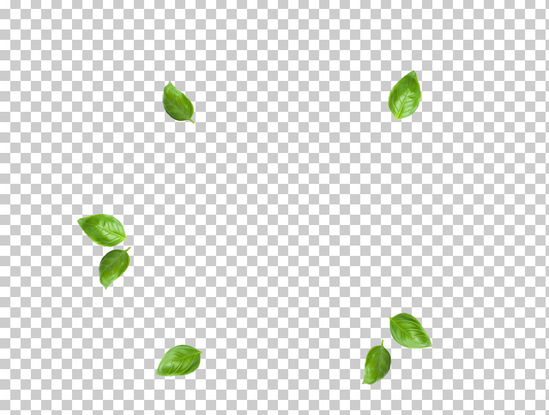 Green Leaf Plant Flower PNG, Clipart, Flower, Green, Leaf, Plant Free PNG Download