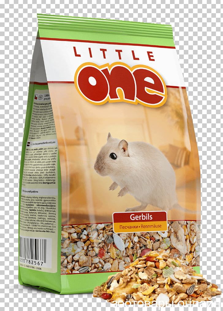Chinchilla Fodder Common Degu Rodent Pet Shop PNG, Clipart, Artikel, Breakfast Cereal, Chinchilla, Common Degu, Fodder Free PNG Download
