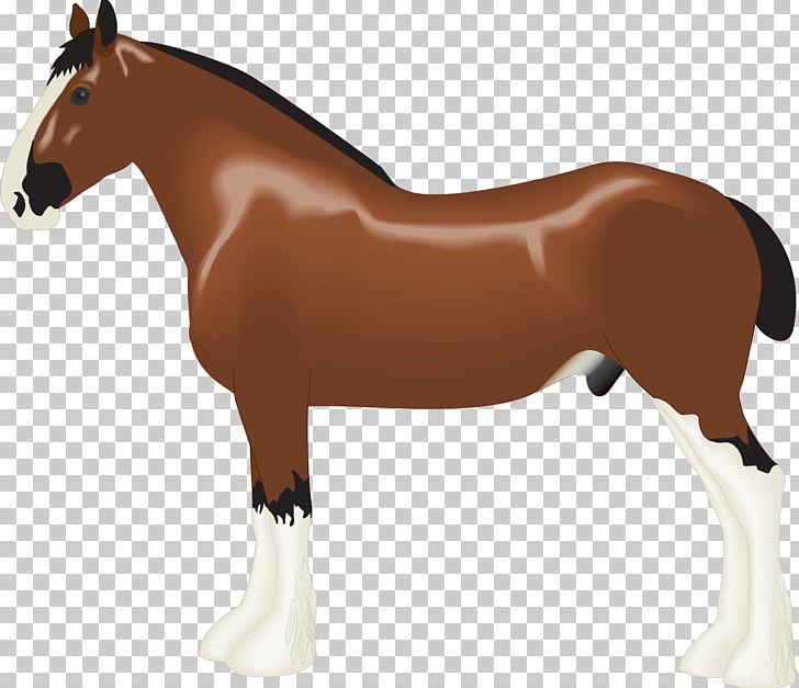 Clydesdale Horse Albanian Horse Draft Horse PNG, Clipart, Animal, Animal Figure, Animals, Bit, Breed Free PNG Download