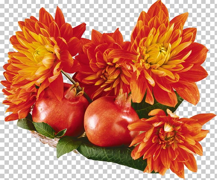 Flower Auglis Autumn PNG, Clipart, Animation, Auglis, Autumn, Chrysanths, Computer Icons Free PNG Download