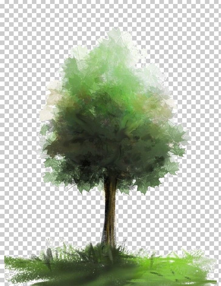 Watercolor Painting Tree PNG, Clipart, Art, Color, Conifer, Drawing, Evergreen Free PNG Download