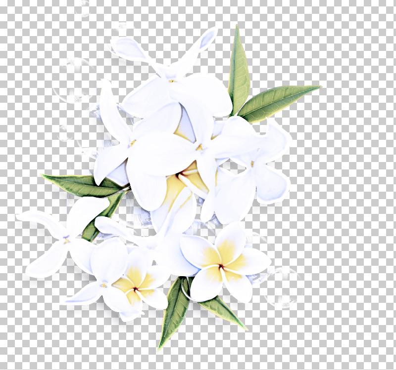 Floral Design PNG, Clipart, Biology, Branching, Cut Flowers, Floral Design, Flower Free PNG Download