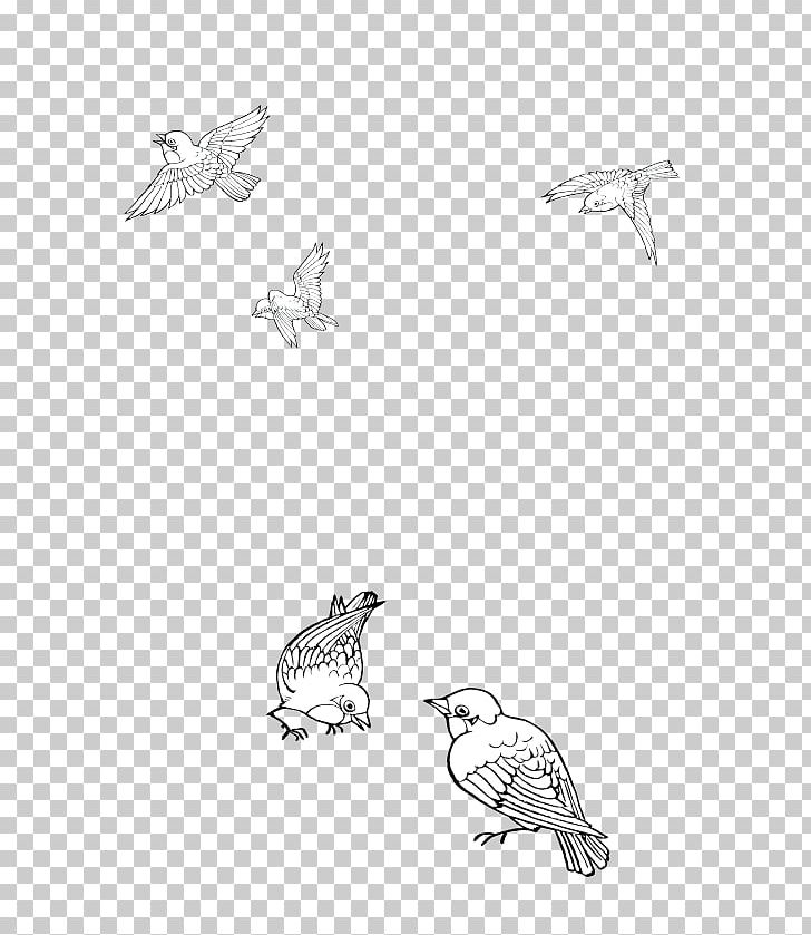 Bird Cartoon Black And White PNG, Clipart, Animals, Area, Autumn, Beak, Bird Free PNG Download