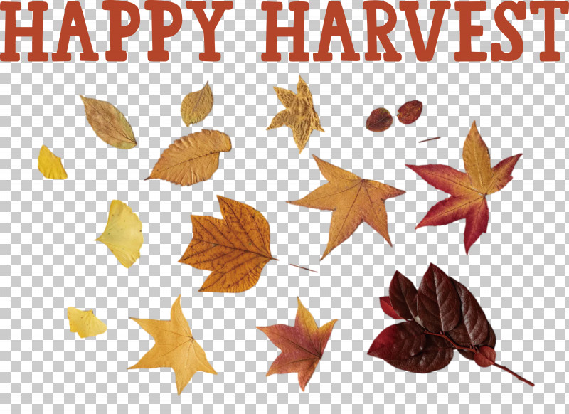 Happy Harvest Harvest Time PNG, Clipart, Bedroom, Cause Of Action, Color, Devor, Happy Harvest Free PNG Download