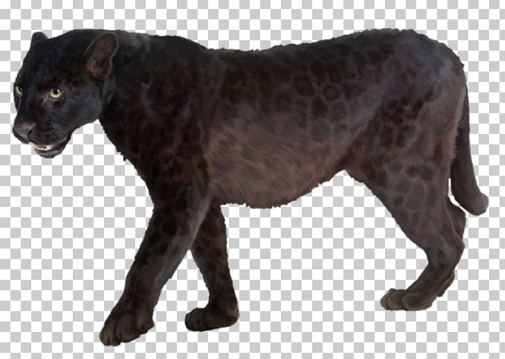 Leopard Jaguar Black Panther Stock Photography PNG, Clipart, Big Cats, Black Panther, Carnivoran, Cat Like Mammal, Fictional Characters Free PNG Download