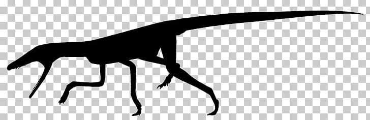 Terrestrisuchus Shuvuuia Theropods Dilophosaurus Archosaur PNG, Clipart, Archosaur, Black And White, Crocodylomorpha, Dilophosaurus, Dinosaur Free PNG Download