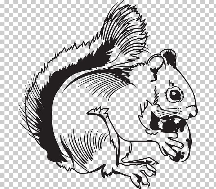 Beaver Mouse Drawing Line Art PNG, Clipart, Animals, Art, Artwork, Canidae, Carnivoran Free PNG Download
