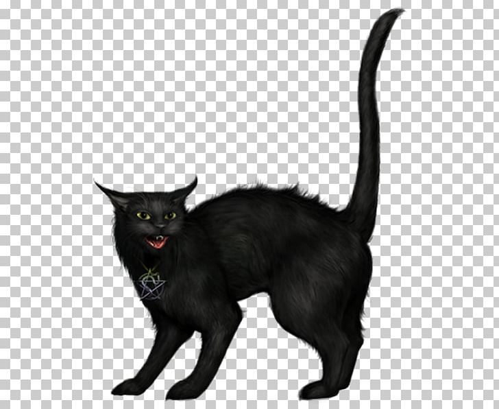 Bombay Cat Portable Network Graphics Black Cat PNG, Clipart, Asian, Black Cat, Black Cat Halloween, Bombay, Bombay Cat Free PNG Download