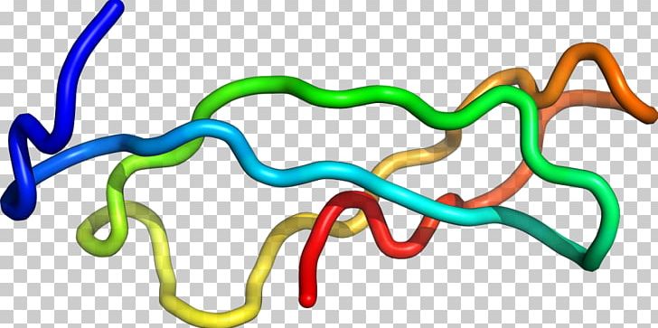 Organism Line PNG, Clipart, Area, Art, Line, Organism, Ribosomal Protein Free PNG Download